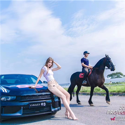 領克03駕（jià）控體驗營