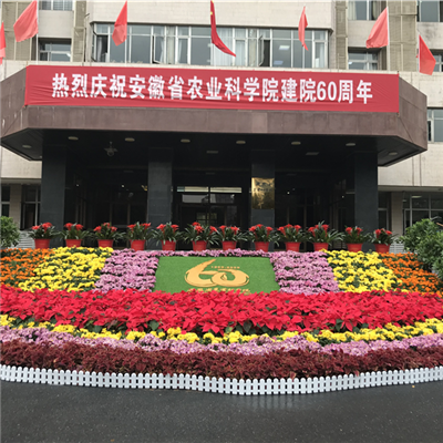 支徽農業科學院建院（yuàn）60周年慶